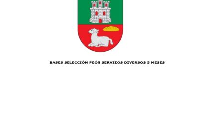 BASES PEÓN SERVIZOS DIVERSOS