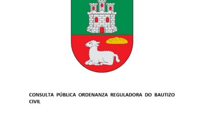 CONSULTA PÚBLICA ORDENANZA