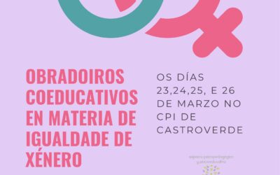 OBRADOIROS COEDUCATIVOS EN MATERIA DE IGUALDADE DE XÉNERO