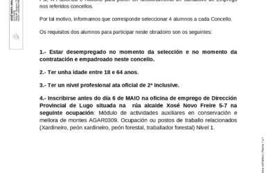 BANCO OBRADOIRO DE EMPREGO O CASTRO XI