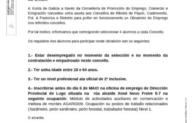 BANDO INFORMATIVO SOBRE O OBRADOIRO DE EMPREGO O CASTRO XI