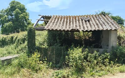 -O CONCELLO DE CASTROVERDE ACOMETERÁ PROXIMAMENTE AS OBRAS DE REHABILITACIÓN DO ANTIGO LAVADOIRO DE SOUTO DE TORRES-
